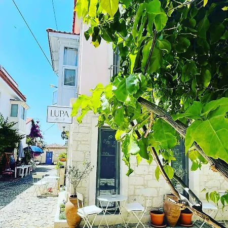 Lupa Alacati * Çeşme